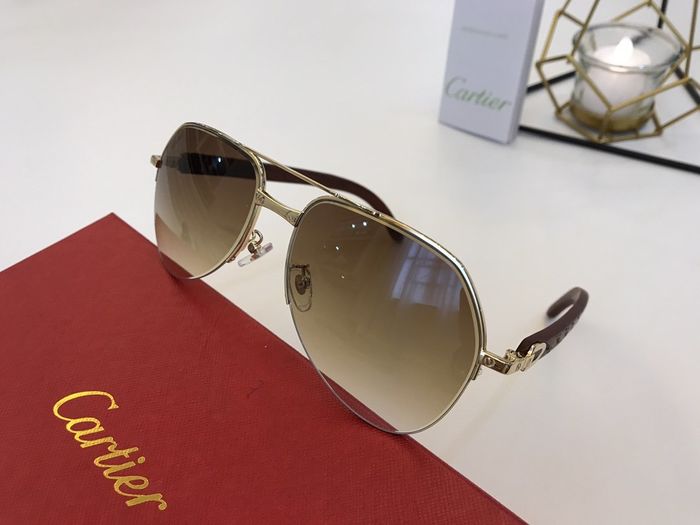 Cartier Sunglasses Top Quality B6001_0124