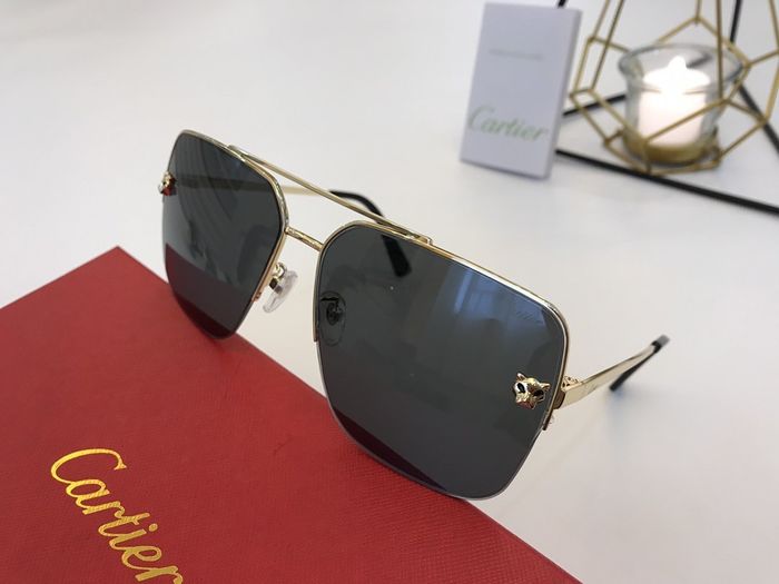 Cartier Sunglasses Top Quality B6001_0128