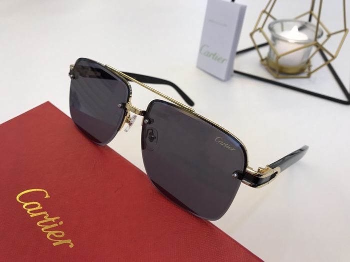 Cartier Sunglasses Top Quality B6001_0134