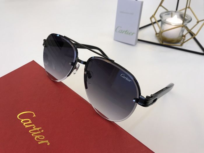 Cartier Sunglasses Top Quality B6001_0136