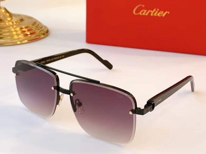 Cartier Sunglasses Top Quality B6001_0148