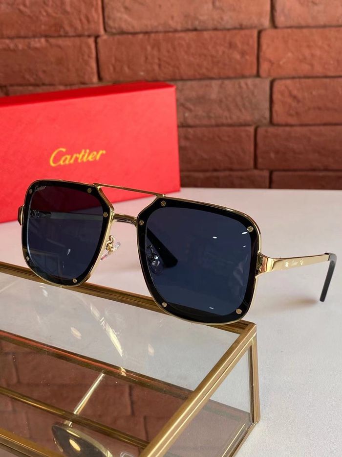 Cartier Sunglasses Top Quality B6001_0149