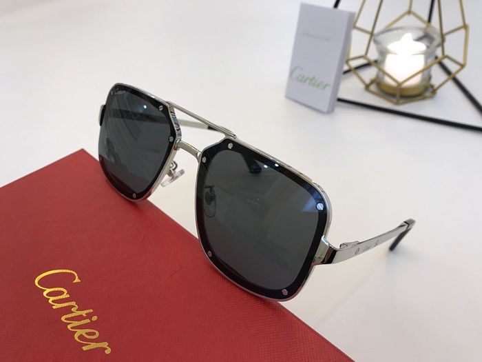 Cartier Sunglasses Top Quality B6001_0151