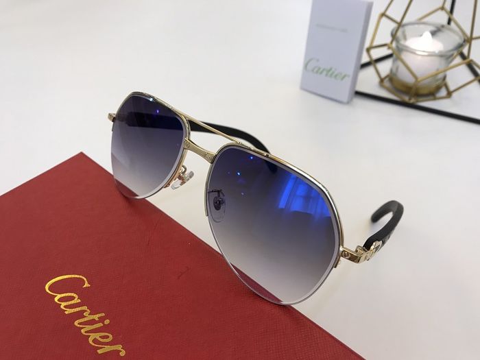 Cartier Sunglasses Top Quality B6001_0152