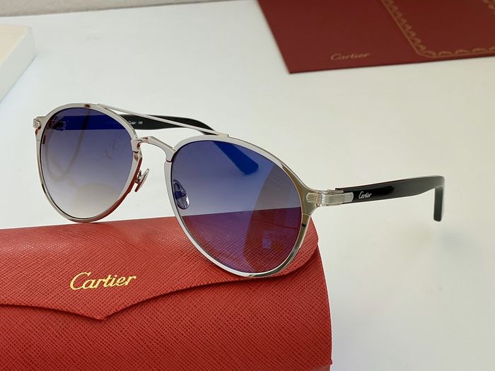 Cartier Sunglasses Top Quality B6001_0154