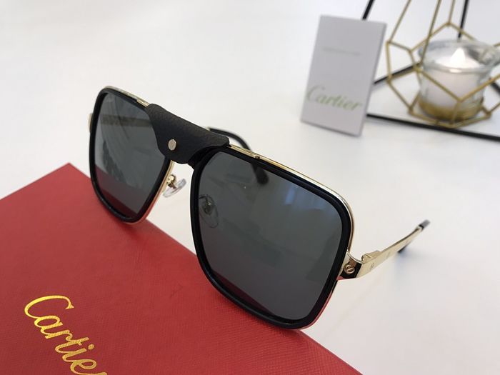 Cartier Sunglasses Top Quality B6001_0158