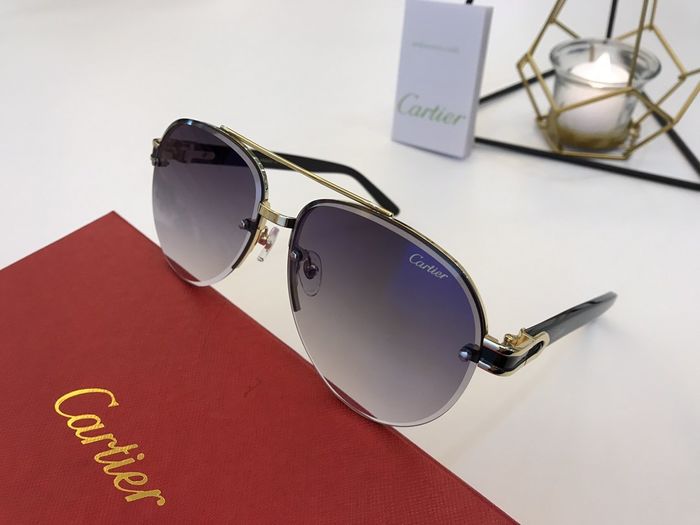 Cartier Sunglasses Top Quality B6001_0162