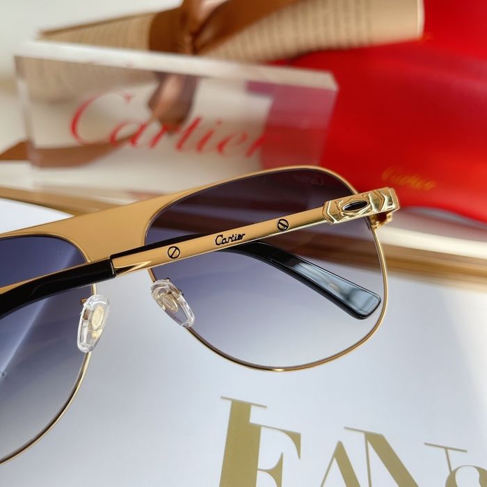Cartier Sunglasses Top Quality B6001_0171