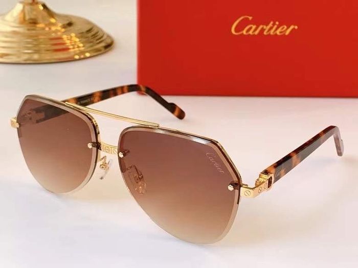 Cartier Sunglasses Top Quality B6001_0173