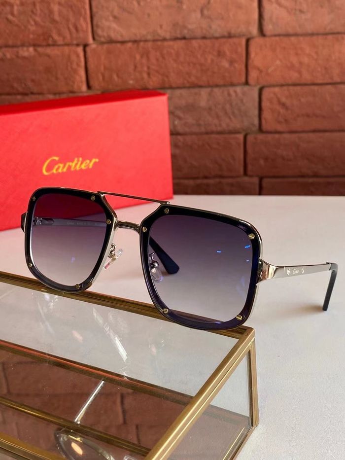 Cartier Sunglasses Top Quality B6001_0175