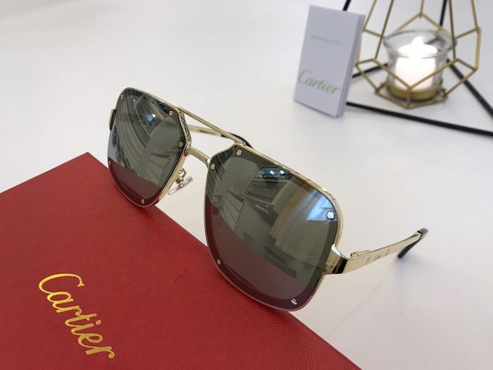 Cartier Sunglasses Top Quality B6001_0177