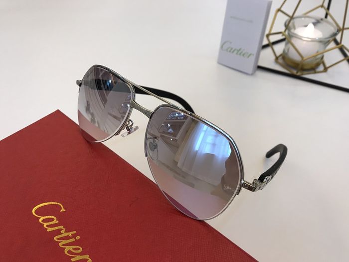 Cartier Sunglasses Top Quality B6001_0178