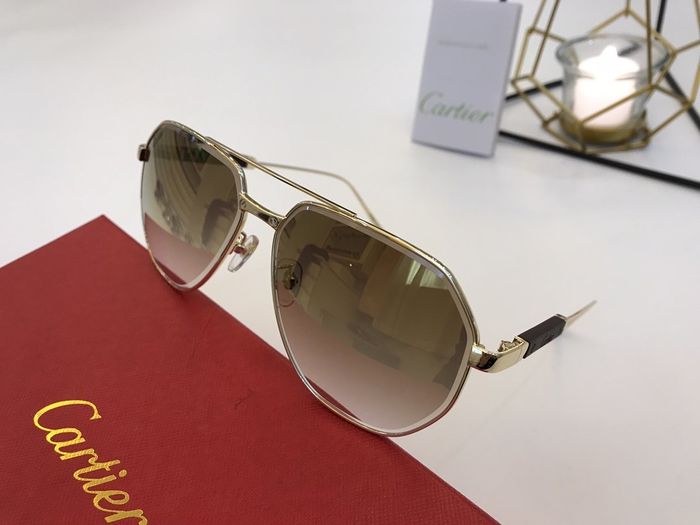 Cartier Sunglasses Top Quality B6001_0183