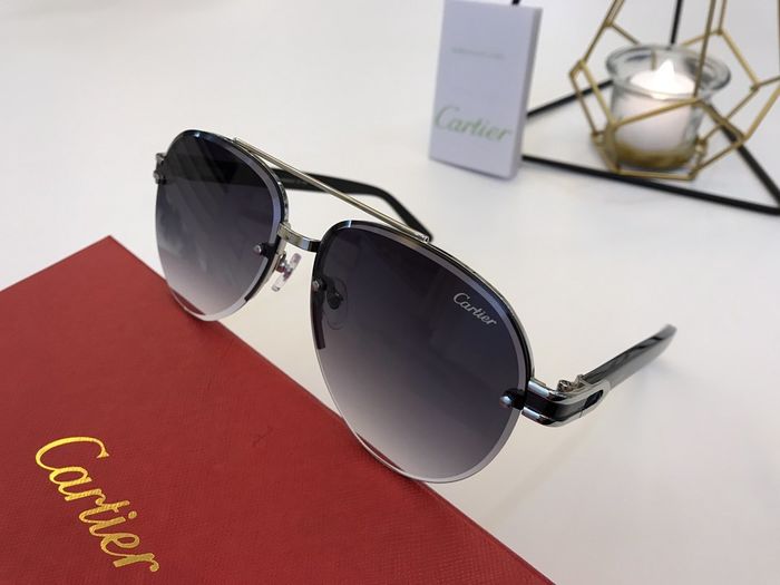 Cartier Sunglasses Top Quality B6001_0189