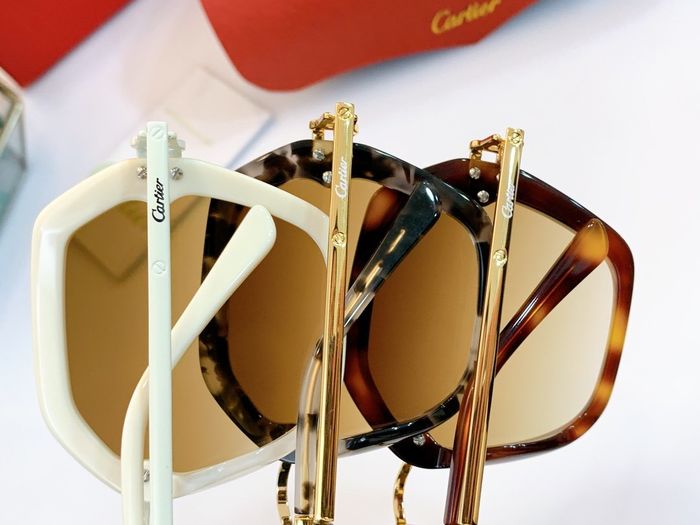 Cartier Sunglasses Top Quality B6001_0191