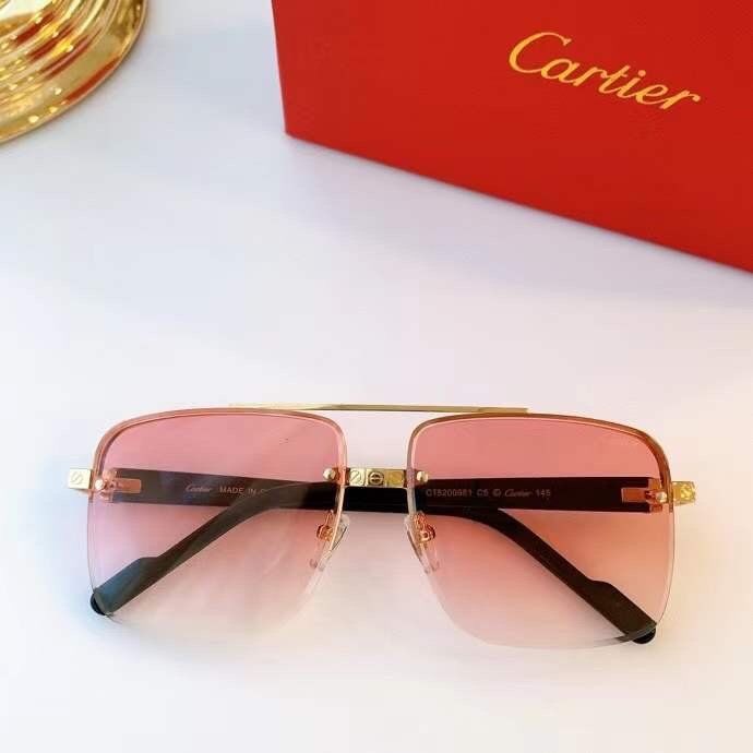 Cartier Sunglasses Top Quality B6001_0201