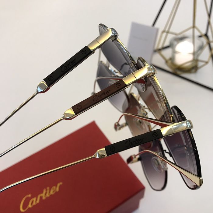 Cartier Sunglasses Top Quality B6001_0210