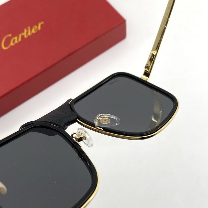 Cartier Sunglasses Top Quality B6001_0213