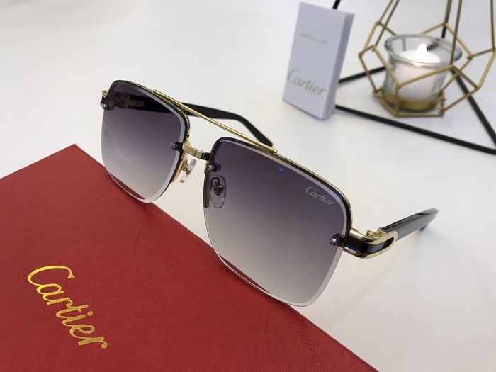 Cartier Sunglasses Top Quality B6001_0215