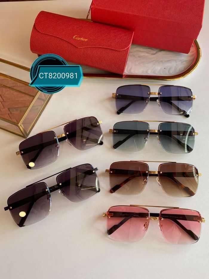 Cartier Sunglasses Top Quality B6001_0228