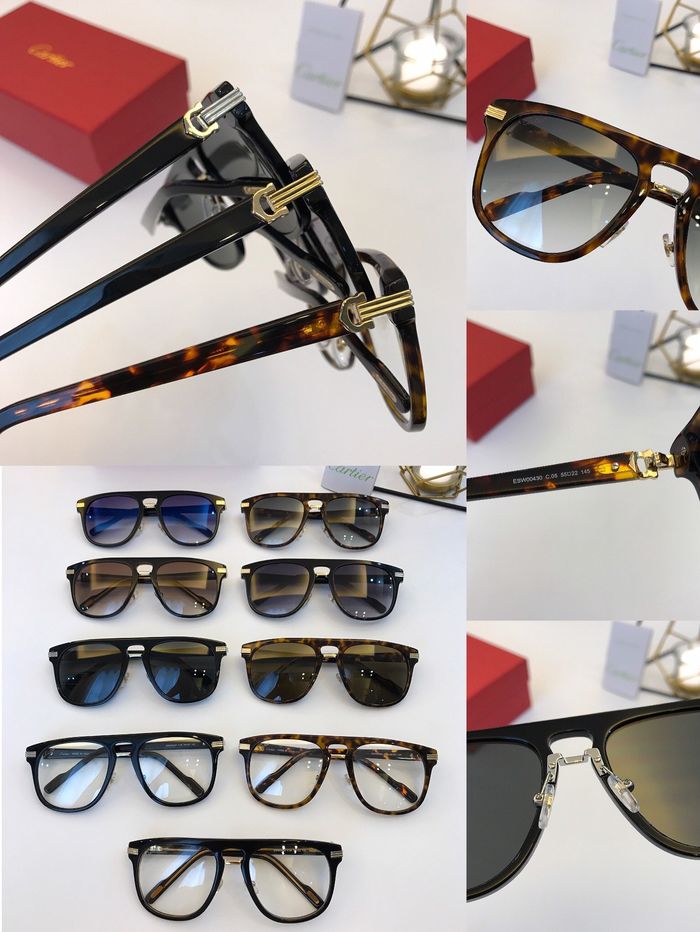 Cartier Sunglasses Top Quality B6001_0232