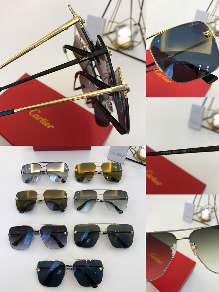 Cartier Sunglasses Top Quality B6001_0236