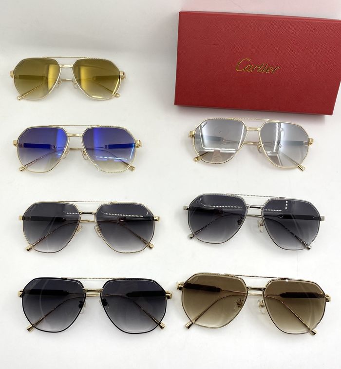 Cartier Sunglasses Top Quality B6001_0239
