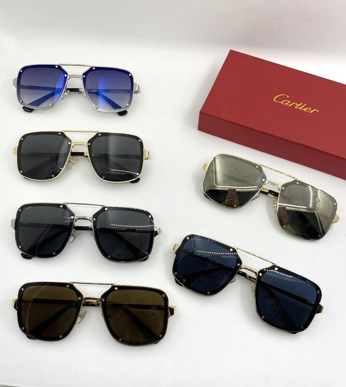 Cartier Sunglasses Top Quality B6001_0241