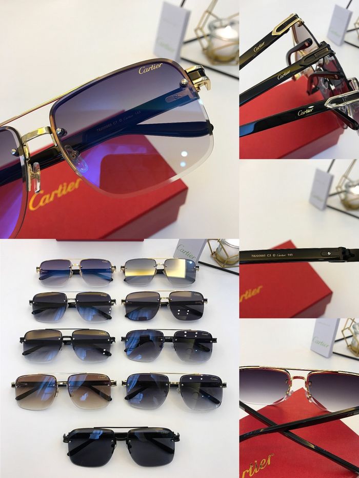 Cartier Sunglasses Top Quality B6001_0242