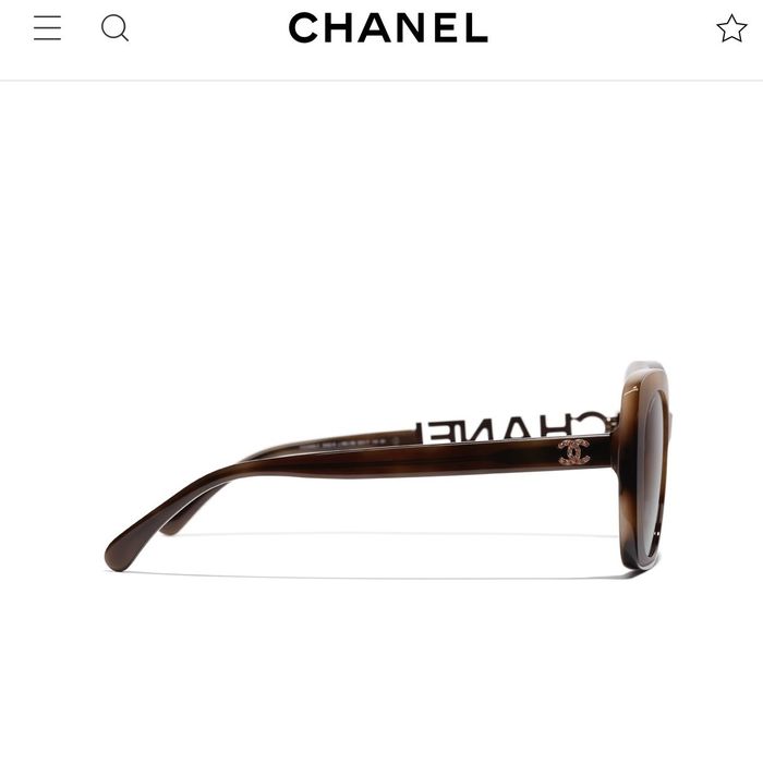 Chanel Sunglasses Top Quality C6001_0067