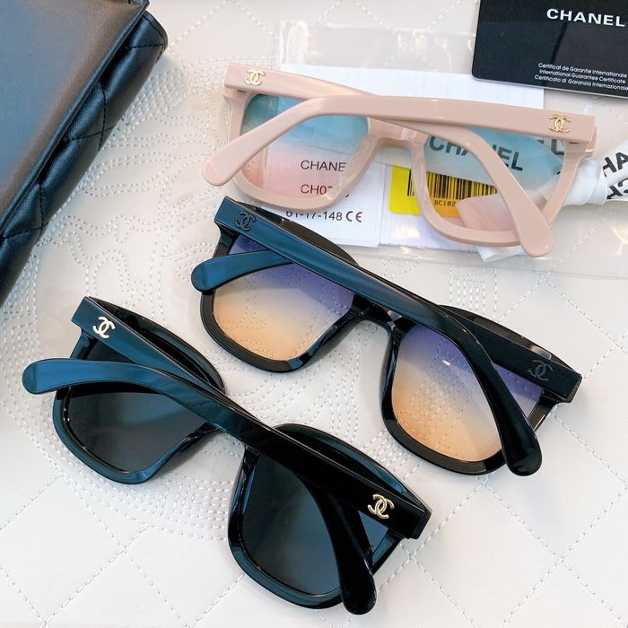 Chanel Sunglasses Top Quality C6001_0281