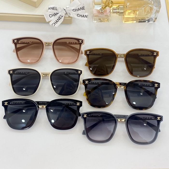 Chanel Sunglasses Top Quality C6001_0397