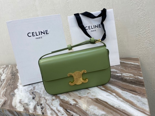 Celine TRIOMPHE SHOULDER BAG IN NATURAL CALFSKIN 194143 green