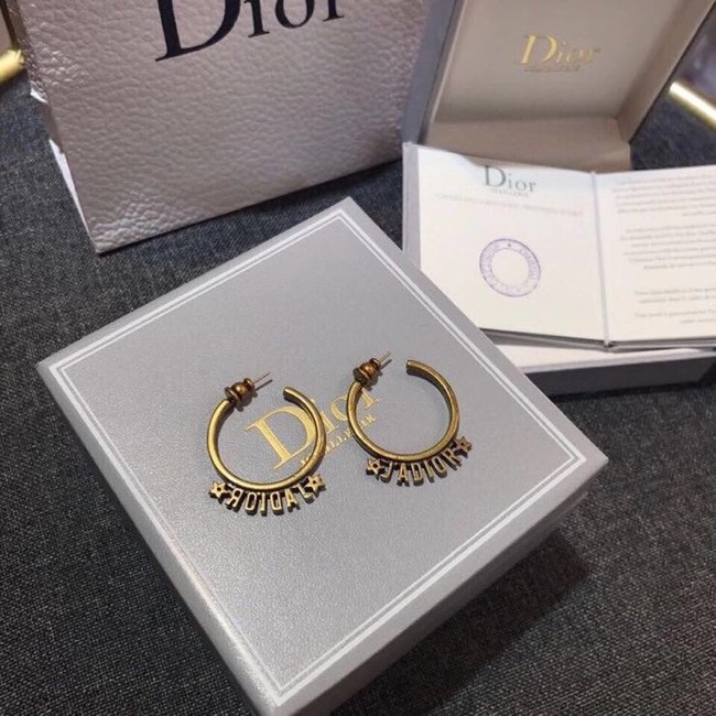 Dior Earrings CE6343