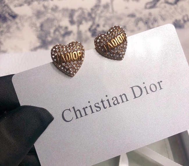 Dior Earrings CE6348