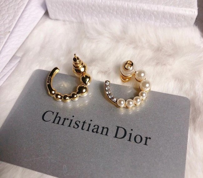 Dior Earrings CE6349