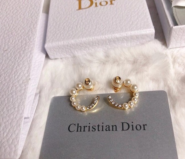 Dior Earrings CE6349