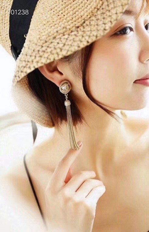 Dior Earrings CE6354