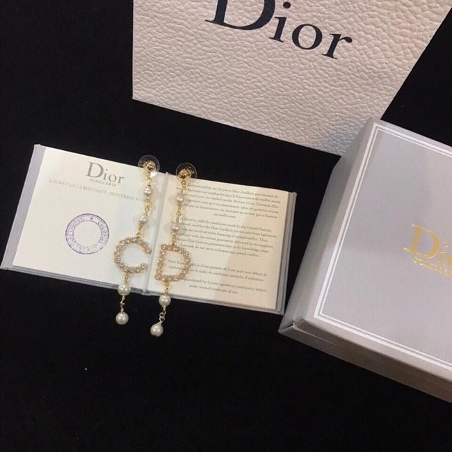 Dior Earrings CE6354