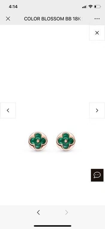 Louis Vuitton Earrings CE6368