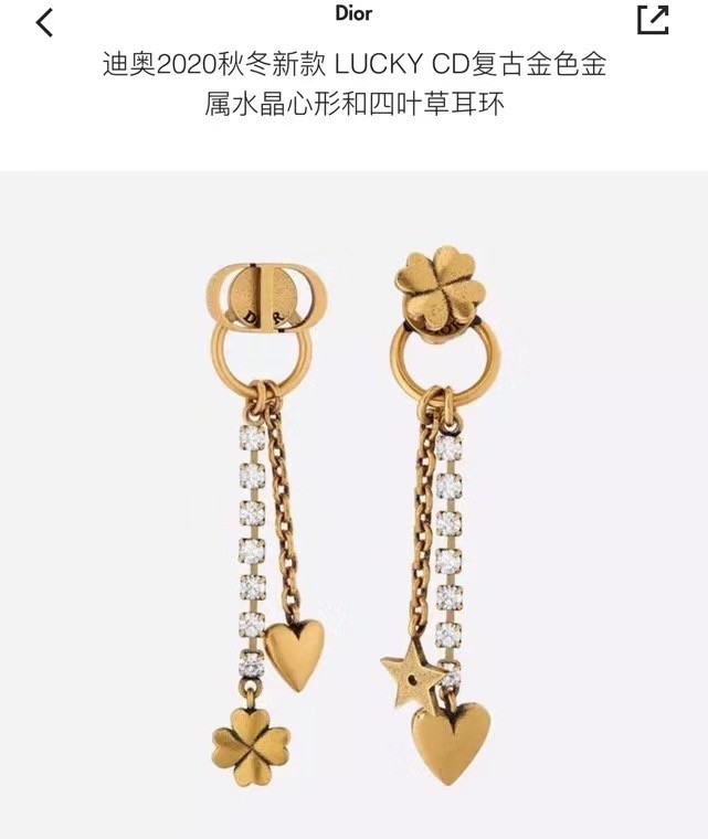 Dior Earrings CE6382