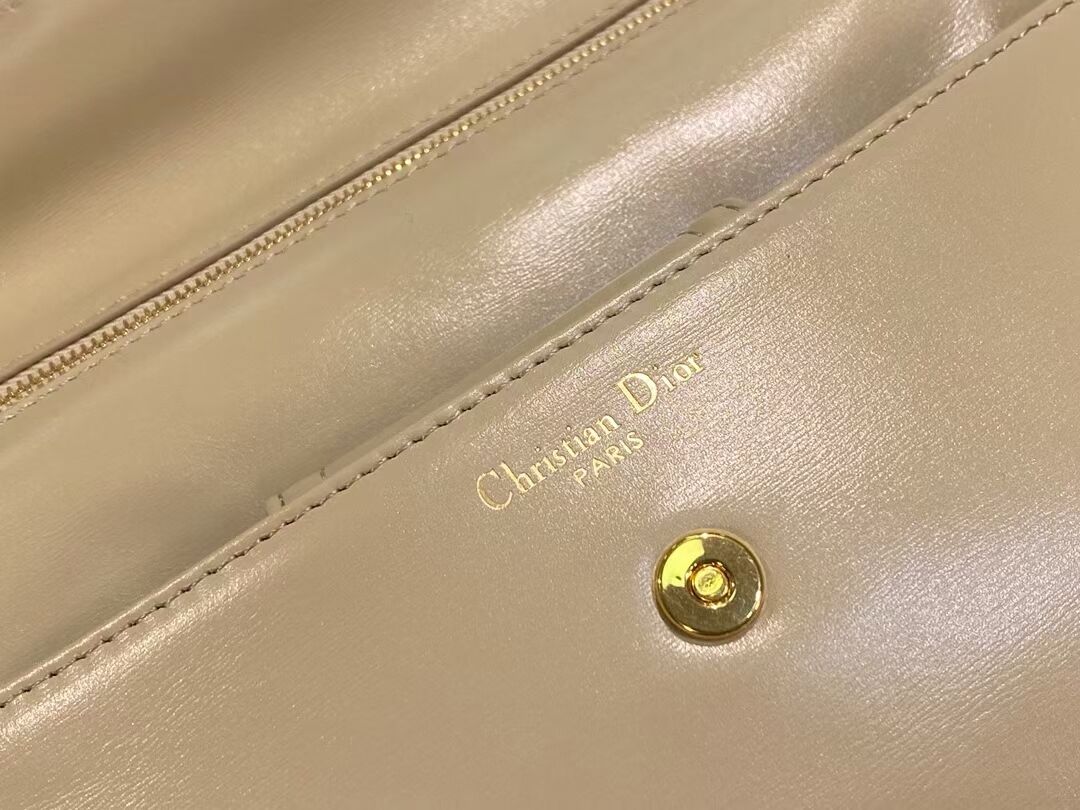 DIOR MEDIUM DIORDOUBLE BAG Gradient Calfskin M8641U Beige