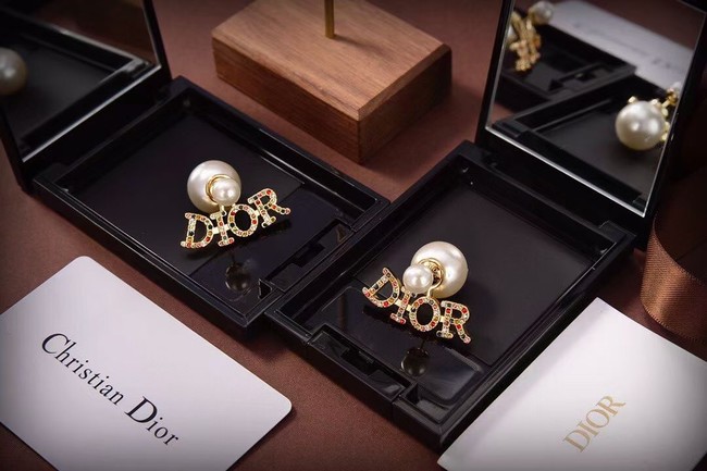 Dior Earrings CE6417