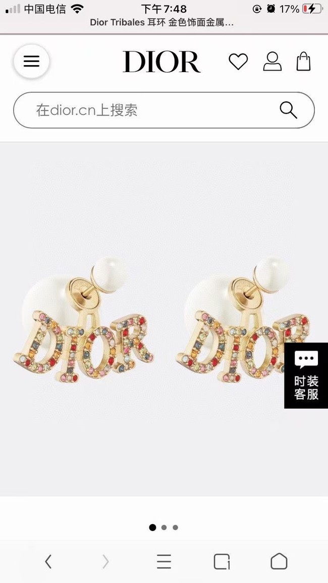 Dior Earrings CE6417