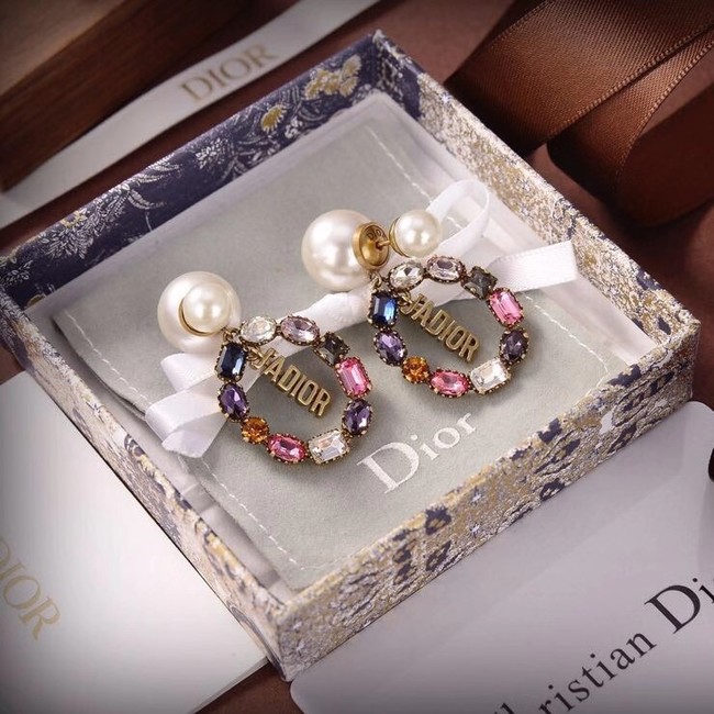 Dior Earrings CE6465