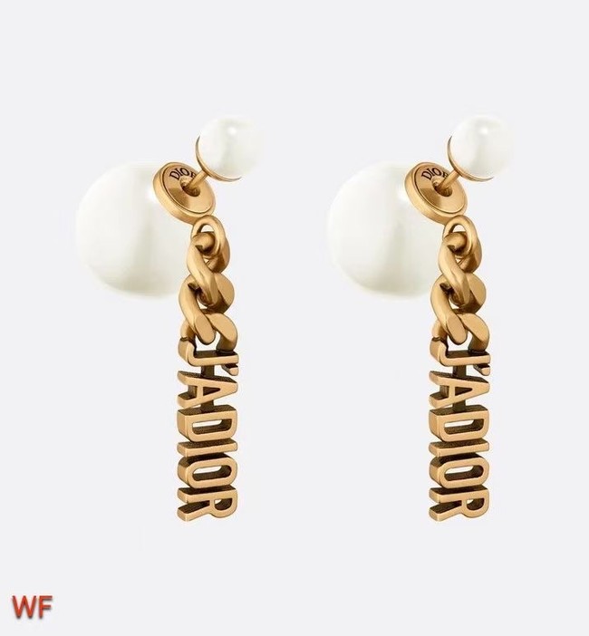 Dior Earrings CE6467