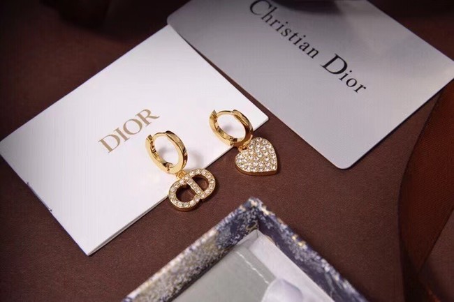Dior Earrings CE6473