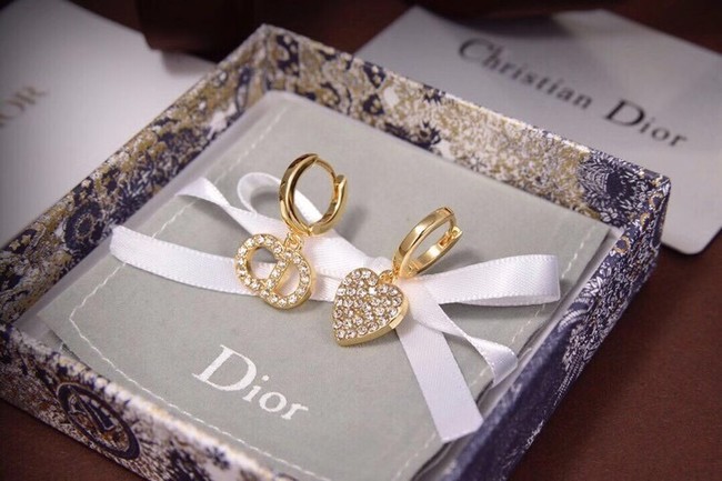 Dior Earrings CE6473