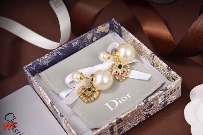 Dior Earrings CE6474