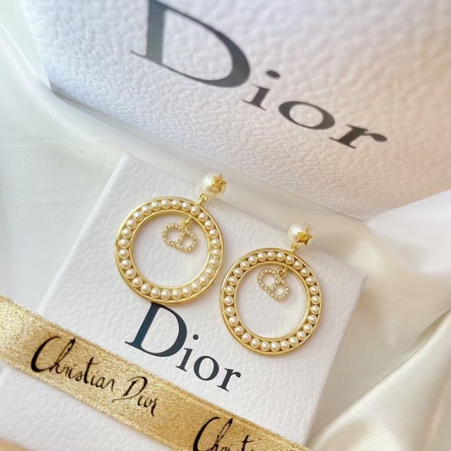 Dior Earrings CE6477